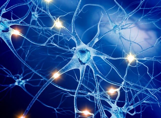 سلول های انسان مرگشان را به دیگر سلول ها اطلاع می دهند