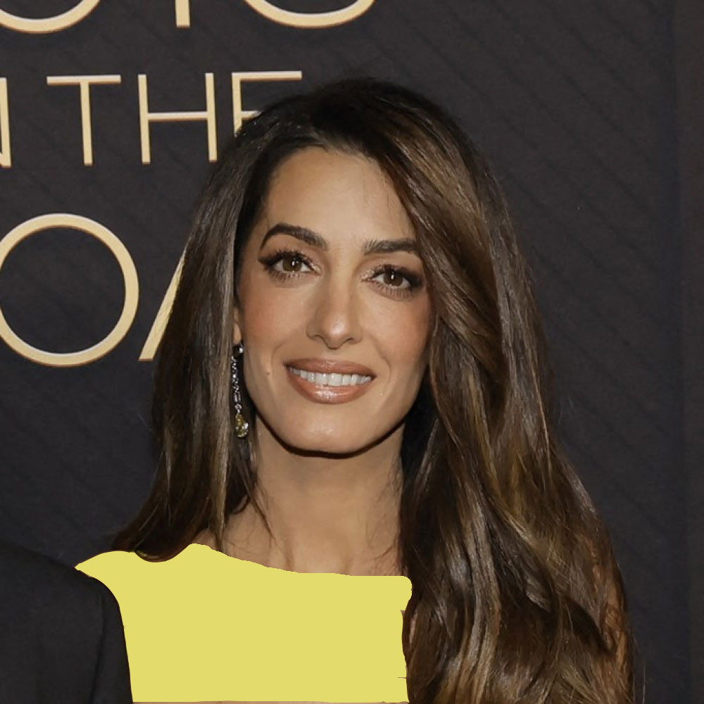 رنگ موی امل علم