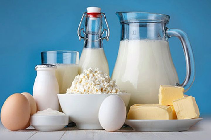 لبنیات و تخم مرغ