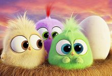 تصویر زمینه گوشی با حیوانات کارتونی و فانتزی | بامزه، رنگی و دوست‌داشتنی