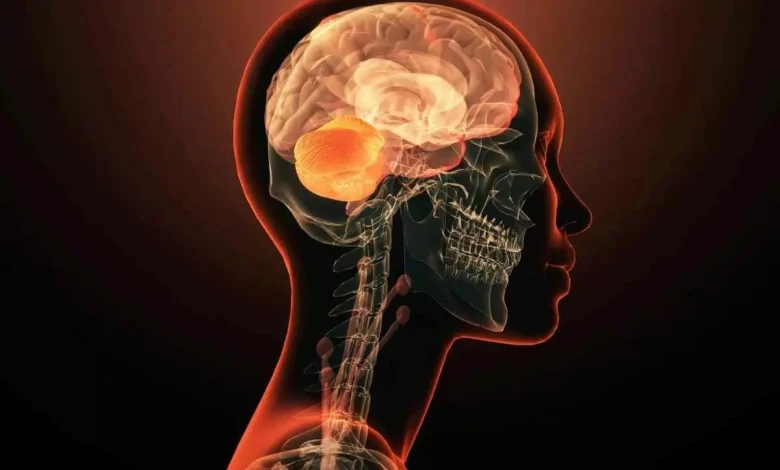 کشف ژنی که به تنهایی عامل بیماری های روانی است